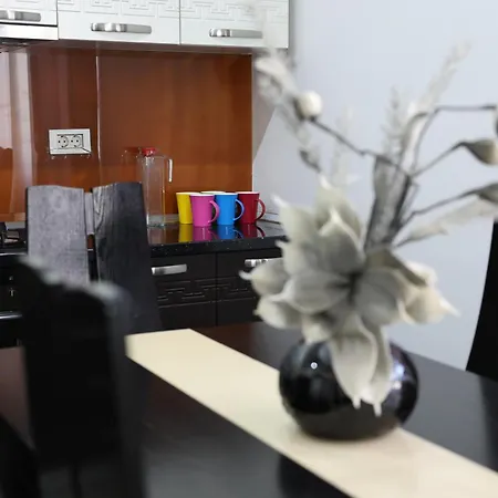 Cozy In The Heart Of Apartament Tirana